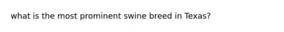 what is the most prominent swine breed in Texas?