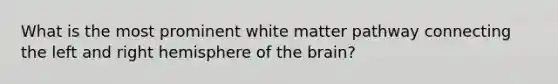 What is the most prominent white matter pathway connecting the left and right hemisphere of the brain?