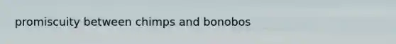 promiscuity between chimps and bonobos