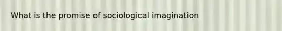 What is the promise of sociological imagination