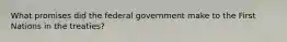 What promises did the federal government make to the First Nations in the treaties?