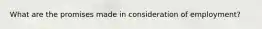 What are the promises made in consideration of employment?