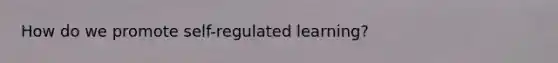 How do we promote self-regulated learning?