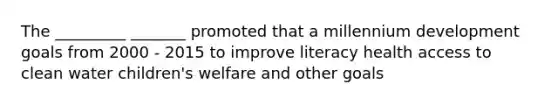 The _________ _______ promoted that a millennium development goals from 2000 - 2015 to improve literacy health access to clean water children's welfare and other goals