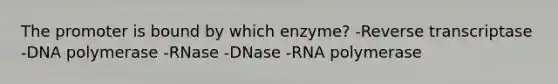 The promoter is bound by which enzyme? -Reverse transcriptase -DNA polymerase -RNase -DNase -RNA polymerase