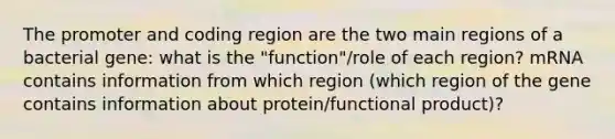 The promoter and coding region are the two main regions of a bacterial gene: what is the "function"/role of each region? mRNA contains information from which region (which region of the gene contains information about protein/functional product)?