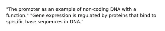 "The promoter as an example of non-coding DNA with a function." "Gene expression is regulated by proteins that bind to specific base sequences in DNA."