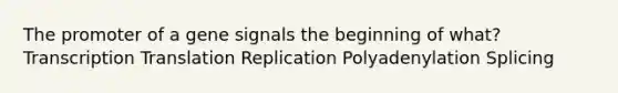 The promoter of a gene signals the beginning of what? Transcription Translation Replication Polyadenylation Splicing