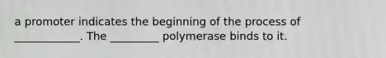 a promoter indicates the beginning of the process of ____________. The _________ polymerase binds to it.