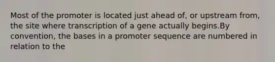 Most of the promoter is located just ahead of, or upstream from, the site where transcription of a gene actually begins.By convention, the bases in a promoter sequence are numbered in relation to the