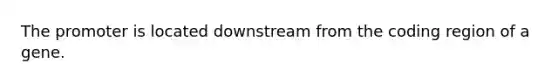 The promoter is located downstream from the coding region of a gene.