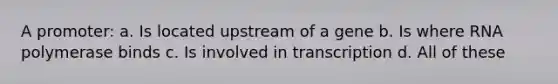 A promoter: a. Is located upstream of a gene b. Is where RNA polymerase binds c. Is involved in transcription d. All of these