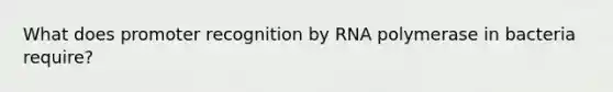 What does promoter recognition by RNA polymerase in bacteria require?