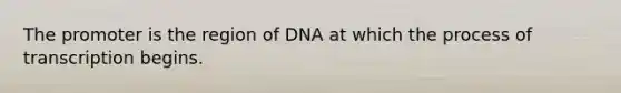 The promoter is the region of DNA at which the process of transcription begins.