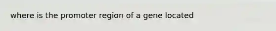 where is the promoter region of a gene located