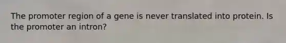 The promoter region of a gene is never translated into protein. Is the promoter an intron?
