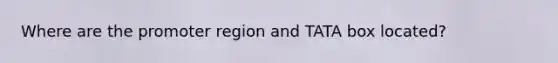 Where are the promoter region and TATA box located?