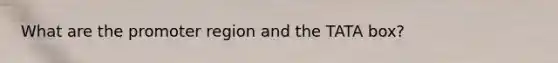What are the promoter region and the TATA box?
