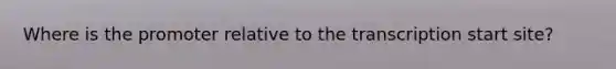 Where is the promoter relative to the transcription start site?