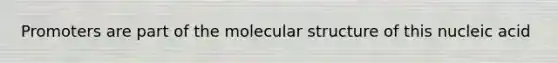 Promoters are part of the molecular structure of this nucleic acid