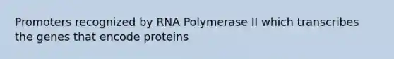 Promoters recognized by RNA Polymerase II which transcribes the genes that encode proteins