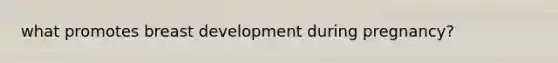 what promotes breast development during pregnancy?
