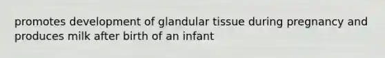 promotes development of glandular tissue during pregnancy and produces milk after birth of an infant