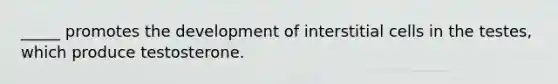 _____ promotes the development of interstitial cells in the testes, which produce testosterone.