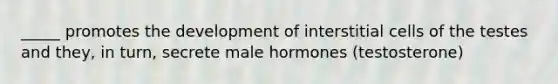 _____ promotes the development of interstitial cells of the testes and they, in turn, secrete male hormones (testosterone)