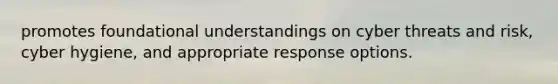 promotes foundational understandings on cyber threats and risk, cyber hygiene, and appropriate response options.