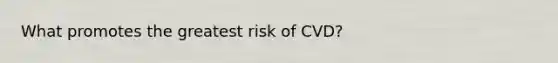 What promotes the greatest risk of CVD?