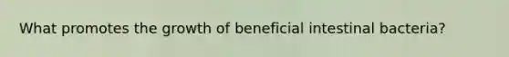 What promotes the growth of beneficial intestinal bacteria?
