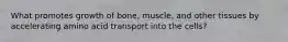 What promotes growth of bone, muscle, and other tissues by accelerating amino acid transport into the cells?