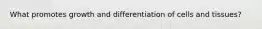 What promotes growth and differentiation of cells and tissues?