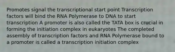 Promotes signal the transcriptional start point Transcription factors will bind the RNA Polymerase to DNA to start transcription A promoter is also called the TATA box is crucial in forming the initiation complex in eukaryotes The completed assembly of transcription factors and RNA Polymerase bound to a promoter is called a transcription initiation complex