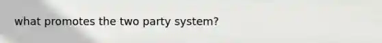 what promotes the two party system?
