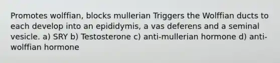 Promotes wolffian, blocks mullerian Triggers the Wolffian ducts to each develop into an epididymis, a vas deferens and a seminal vesicle. a) SRY b) Testosterone c) anti-mullerian hormone d) anti-wolffian hormone