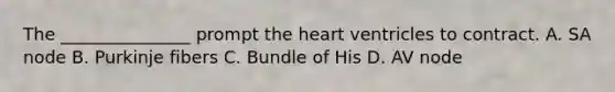 The​ _______________ prompt the heart ventricles to contract. A. SA node B. Purkinje fibers C. Bundle of His D. AV node