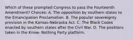 Which of these prompted Congress to pass the Fourteenth Amendment? Choices: A. The opposition by southern states to the Emancipation Proclamation. B. The popular sovereignty provision in the Kansas-Nebraska Act. C. The Black Codes enacted by southern states after the Civil War. D. The positions taken in the Know- Nothing Party platform.