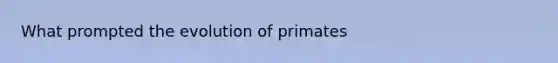 What prompted the evolution of primates