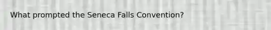 What prompted the Seneca Falls Convention?