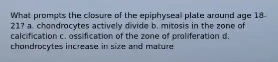 What prompts the closure of the epiphyseal plate around age 18-21? a. chondrocytes actively divide b. mitosis in the zone of calcification c. ossification of the zone of proliferation d. chondrocytes increase in size and mature