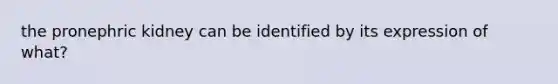 the pronephric kidney can be identified by its expression of what?