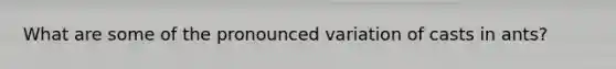 What are some of the pronounced variation of casts in ants?