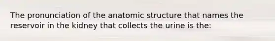 The pronunciation of the anatomic structure that names the reservoir in the kidney that collects the urine is the: