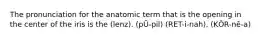 The pronunciation for the anatomic term that is the opening in the center of the iris is the (lenz). (pŪ-pil) (RET-i-nah). (KŌR-nē-a)