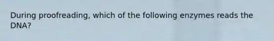 During proofreading, which of the following enzymes reads the DNA?