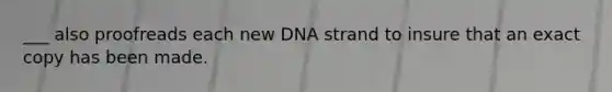 ___ also proofreads each new DNA strand to insure that an exact copy has been made.