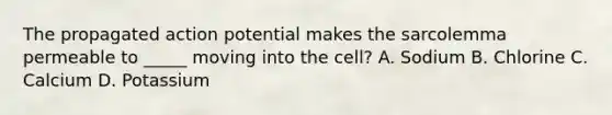 The propagated action potential makes the sarcolemma permeable to _____ moving into the cell? A. Sodium B. Chlorine C. Calcium D. Potassium