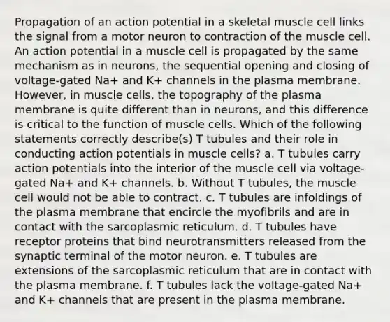 Propagation of an action potential in a skeletal muscle cell links the signal from a motor neuron to contraction of the muscle cell. An action potential in a muscle cell is propagated by the same mechanism as in neurons, the sequential opening and closing of voltage-gated Na+ and K+ channels in the plasma membrane. However, in muscle cells, the topography of the plasma membrane is quite different than in neurons, and this difference is critical to the function of muscle cells. Which of the following statements correctly describe(s) T tubules and their role in conducting action potentials in muscle cells? a. T tubules carry action potentials into the interior of the muscle cell via voltage-gated Na+ and K+ channels. b. Without T tubules, the muscle cell would not be able to contract. c. T tubules are infoldings of the plasma membrane that encircle the myofibrils and are in contact with the sarcoplasmic reticulum. d. T tubules have receptor proteins that bind neurotransmitters released from the synaptic terminal of the motor neuron. e. T tubules are extensions of the sarcoplasmic reticulum that are in contact with the plasma membrane. f. T tubules lack the voltage-gated Na+ and K+ channels that are present in the plasma membrane.